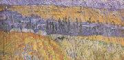 Vincent Van Gogh, Landscape at Auvers in the  Rain (nn04)